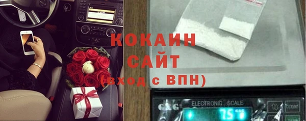 дживик Абинск