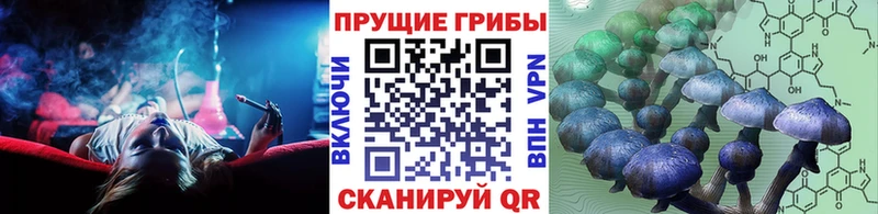 Галлюциногенные грибы MAGIC MUSHROOMS Беломорск